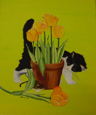 Le Chat Aux Jonquilles