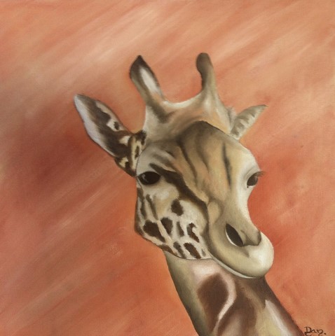 Portrait De Girafe