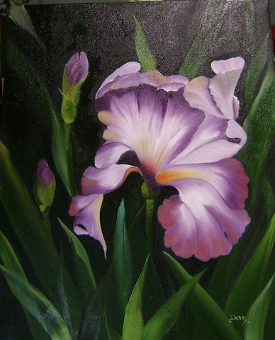 Iris Mauve